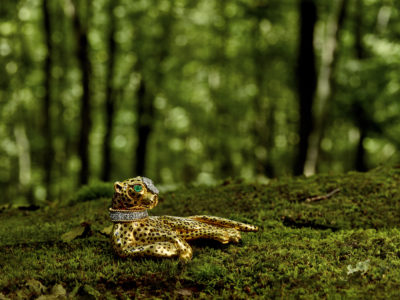 Still from a newly commissioned short film by photographer and videographer Noah Kalina, showing David Webb’s animal jewels in nature. Image courtesy David Webb.