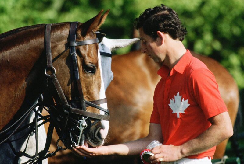 The car was fitted with a special sugar lump holder in the central armrest to hold treats for Charles‘ polo ponies. Photo by Tim Graham Photo Library via Getty Images