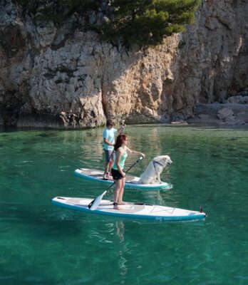 Two paddleboarders and a dog out on the water. Photo courtesy of SipaBoards